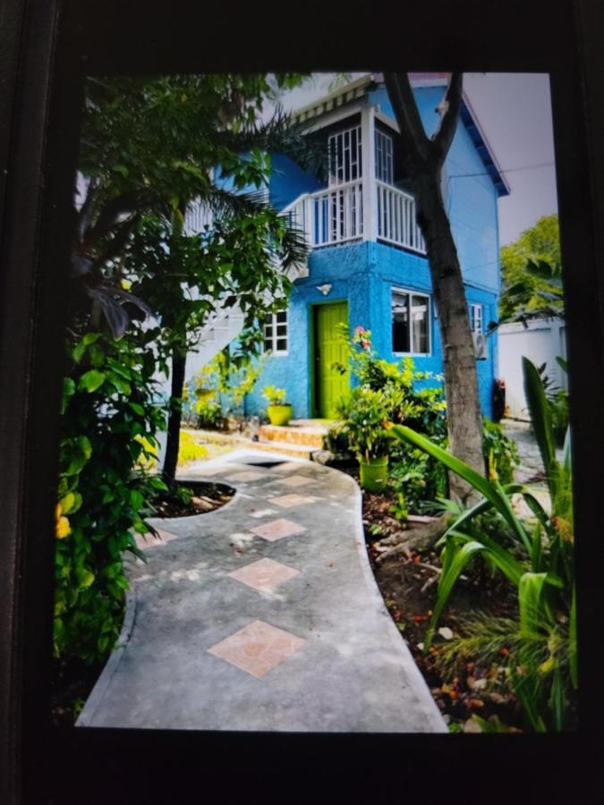 Casa Catalina Villa ซานเปโดร ภายนอก รูปภาพ
